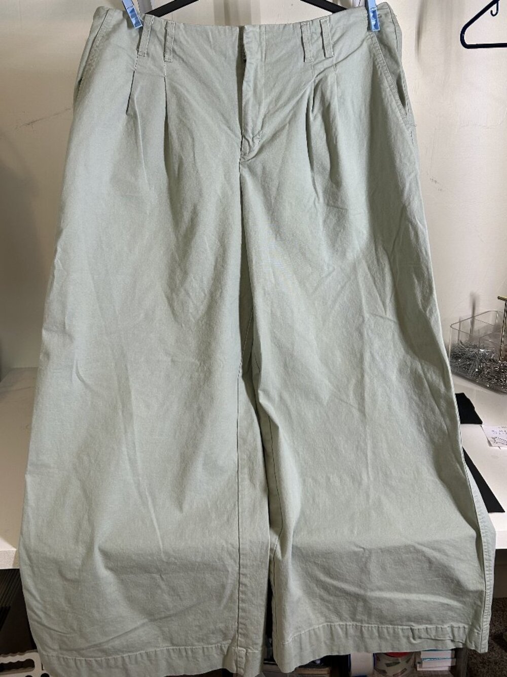 A New Day Wide Leg Pleated Pants